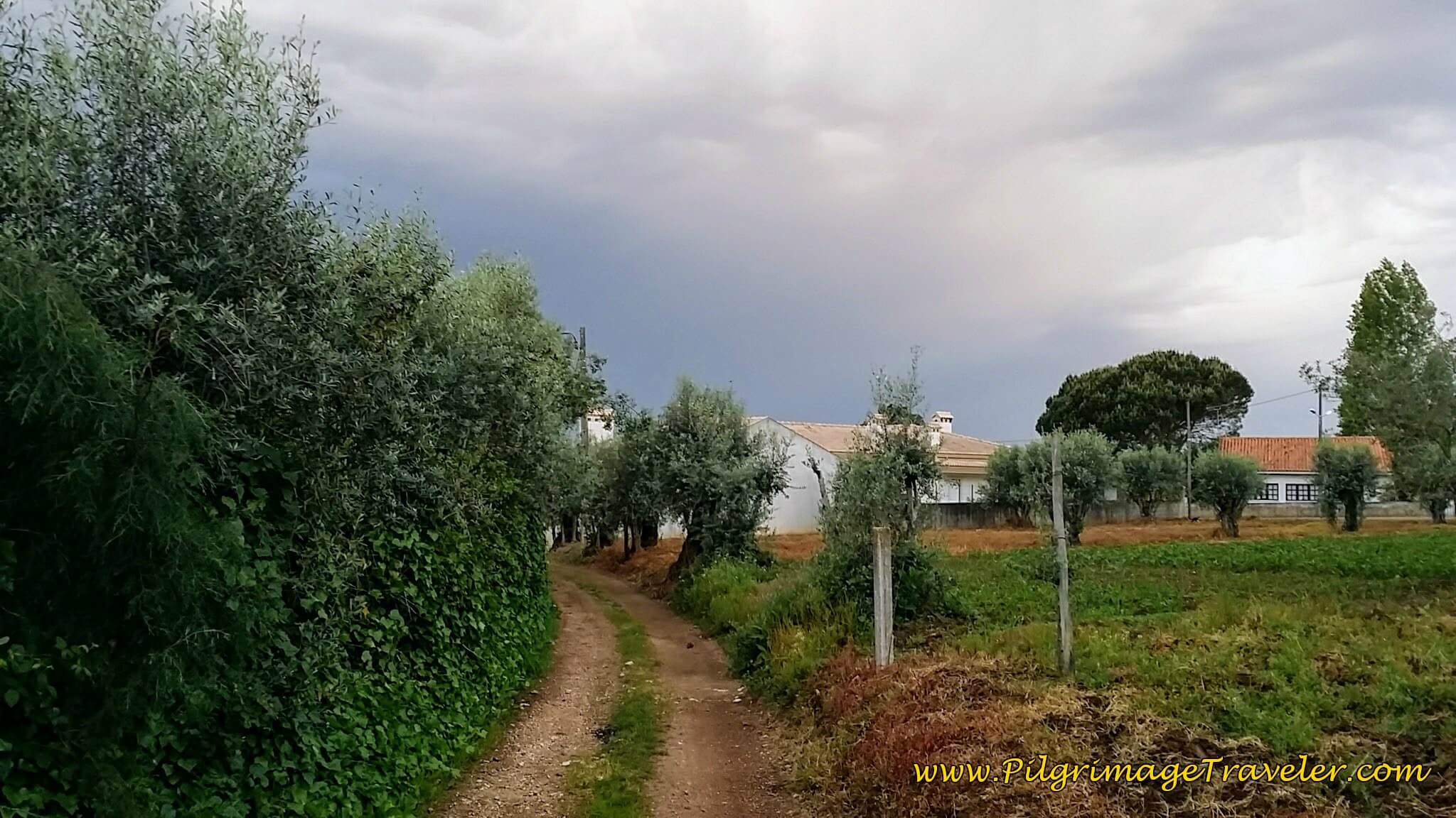 Getting Close to Alpalhão on the Tractor Lane in the Municipality of Anadia on the Portuguese Camino