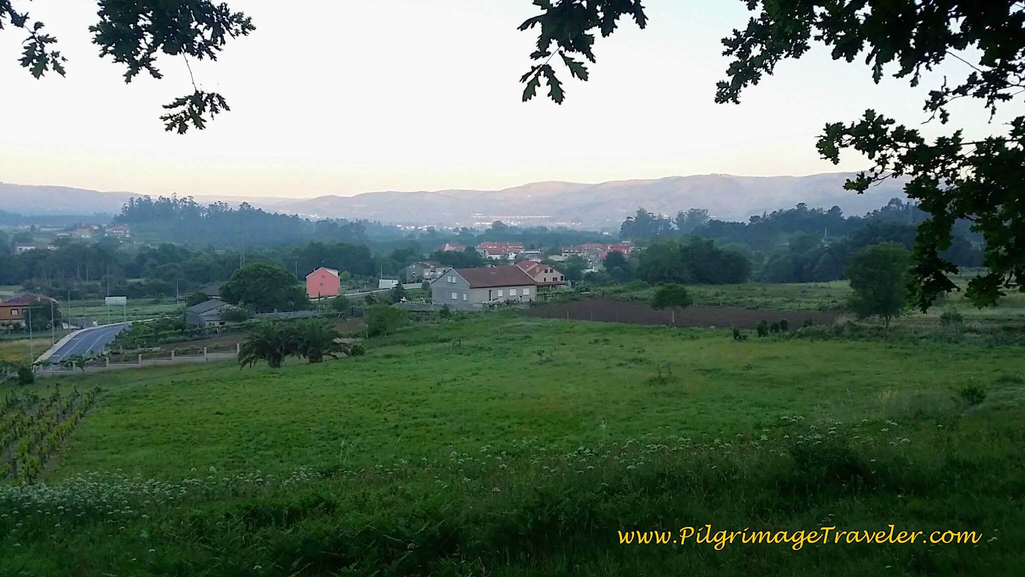 Countryside View in Early Morning Light on Day Twenty-Four, Camino Portugués