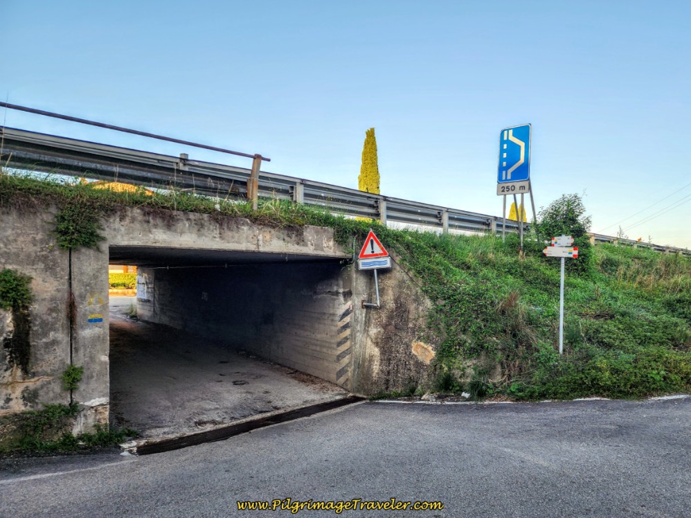Way of St. Francis: Day Twelve, Spello to Trevi, Walk Under the SS75, Ponte Chiona