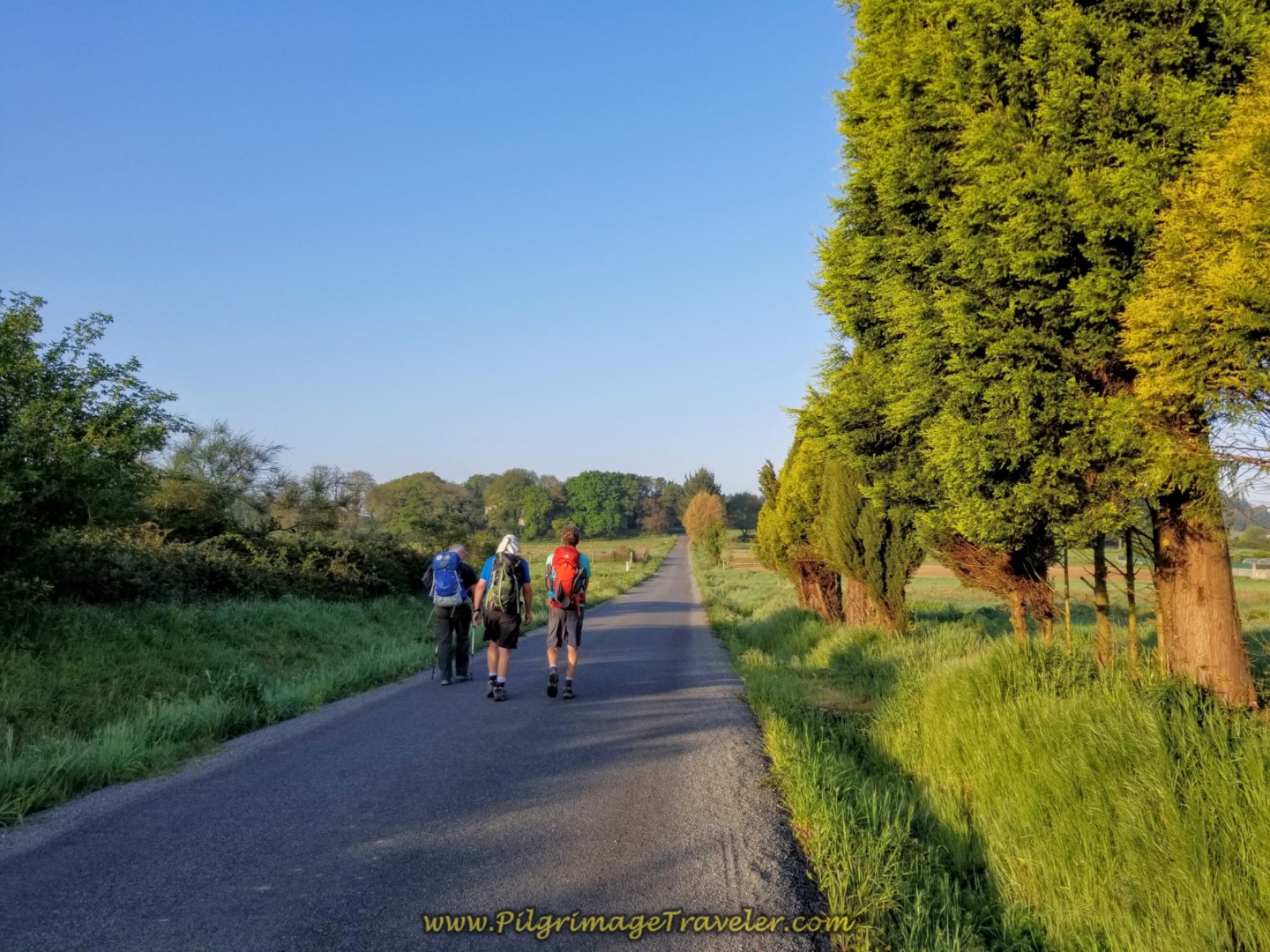 Walking on Quiet, Rural Paved Road on day eight of the Camino Inglés