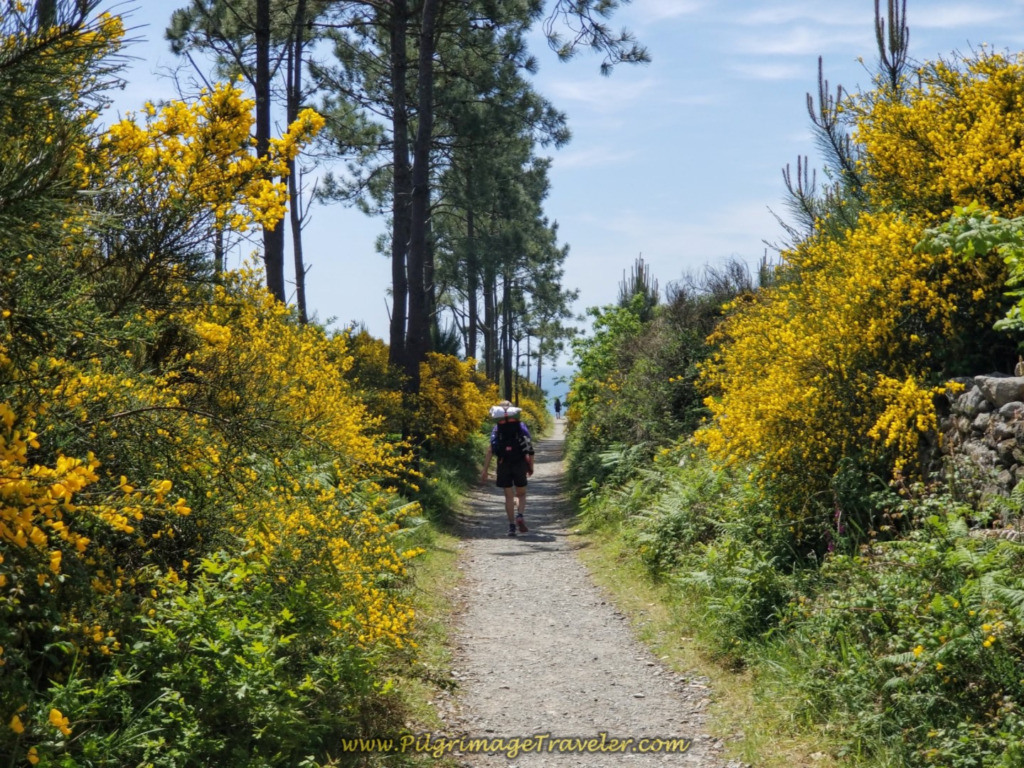 Stunning Vista Ahead