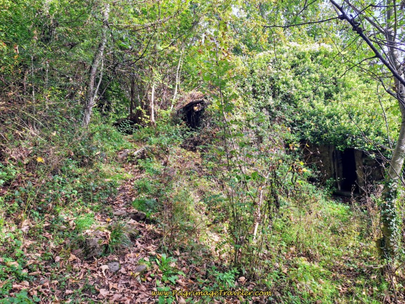 More Ruined Buildings