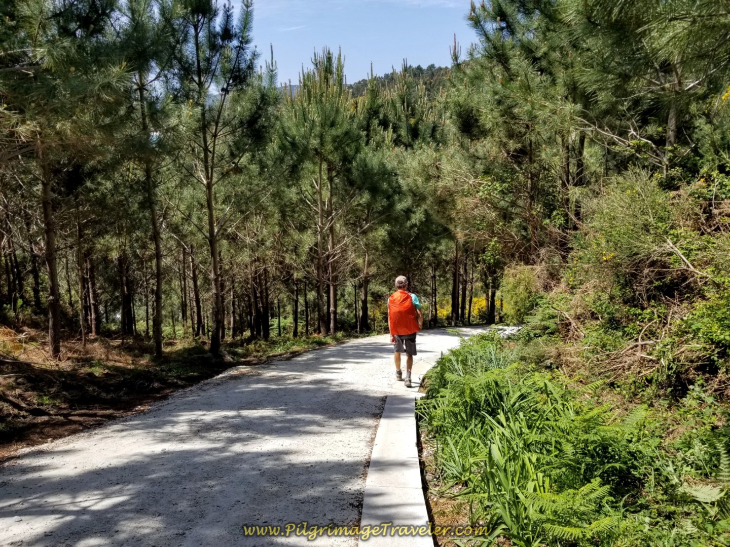 Pick Up Improved Path