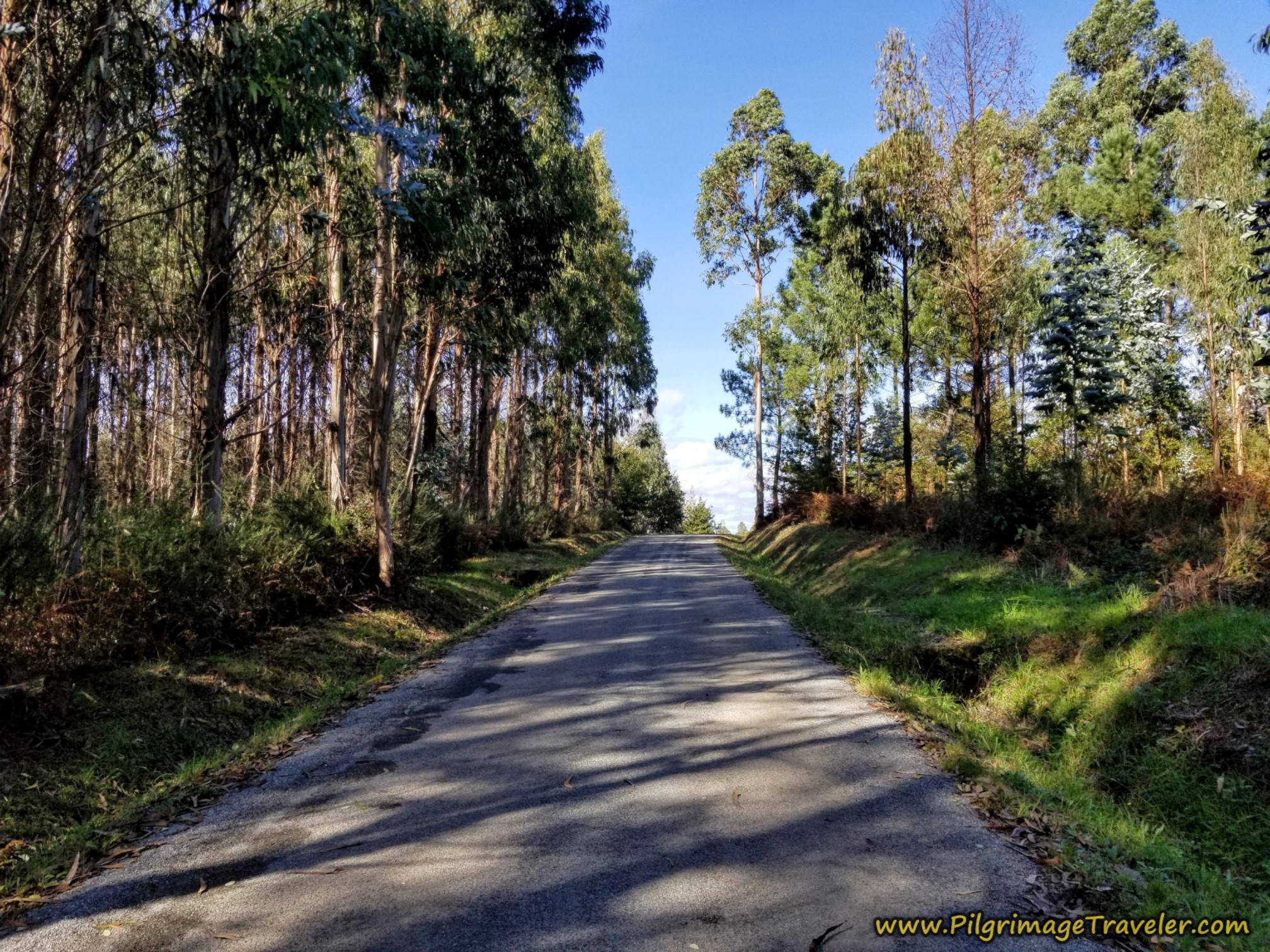 Short Uphill, Camino Sanabrés, A Bandeira to A Susana Short Uphill, Camino Sanabrés, A Bandeira to A Susana