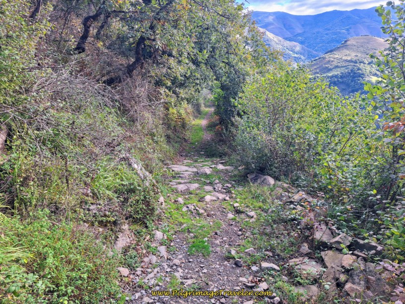 Road Widens Suddenly