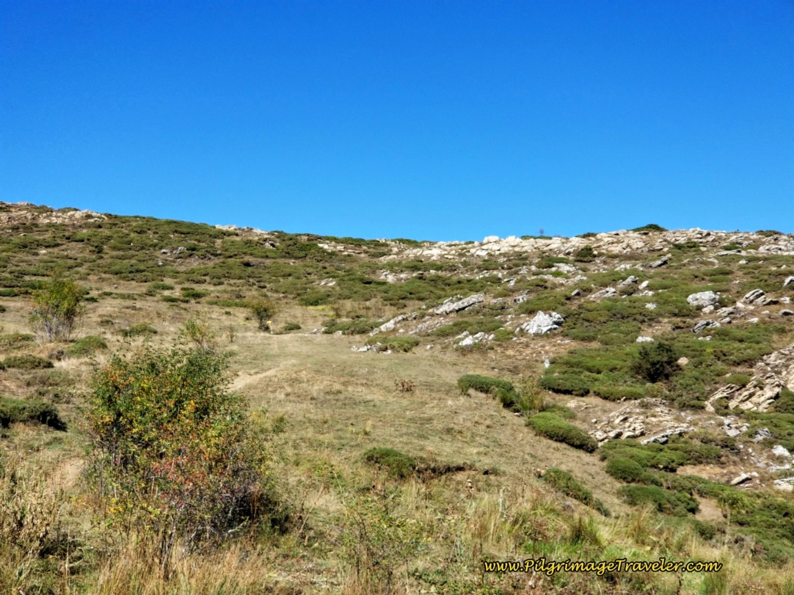 Across a High Meadow