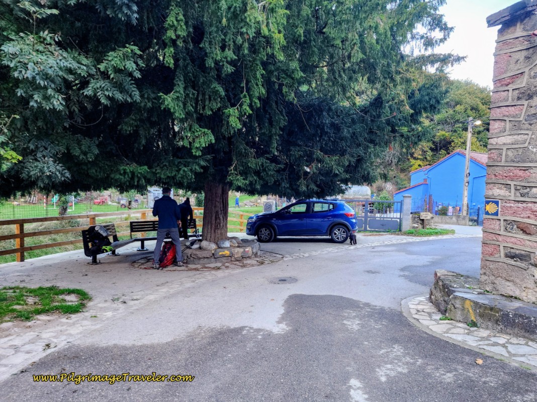 Picnic Area Under Trees by the Río Valgrande