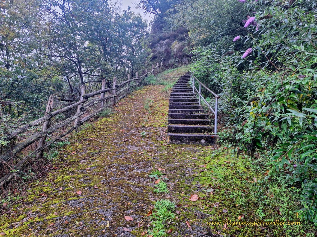 Old Roadbed Joins Stairway Old Roadbed Joins Stairway