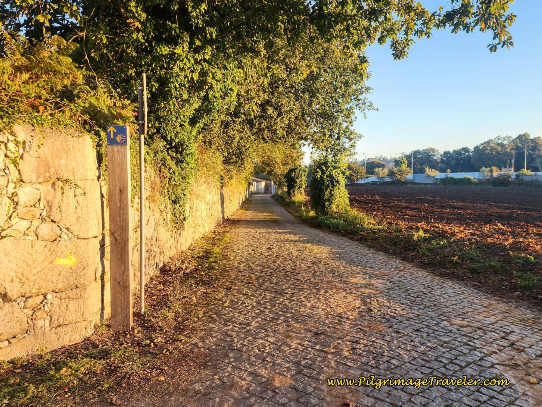 Cobblestone Road Leading to the Pilgrim's Gate