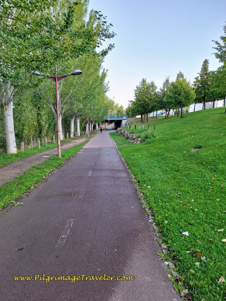 Paved Section of Bernesga Riverwalk