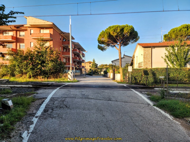 Way of St. Francis: Day Twelve, Spello to Trevi, Along the Via Spineto, Foligno