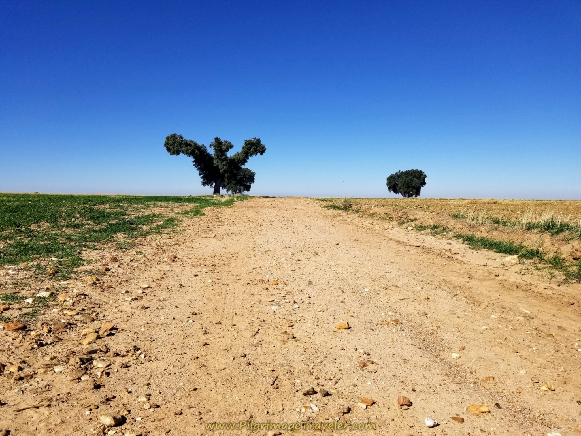Hilltop ahead on the open lanes of day four on the Camino Teresiano