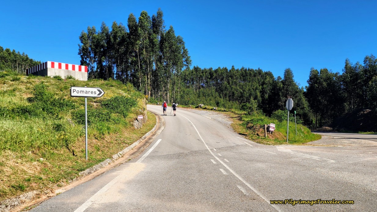 Turn Left Up the Hill