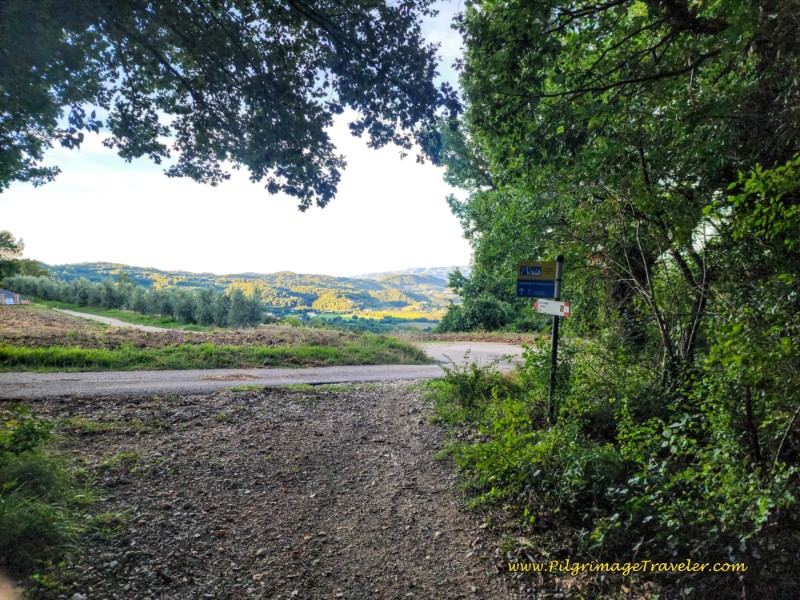 Way of St. Francis: Day Eighteen, Poggio Bustone to Rieti - Leave Forest for the Pavement