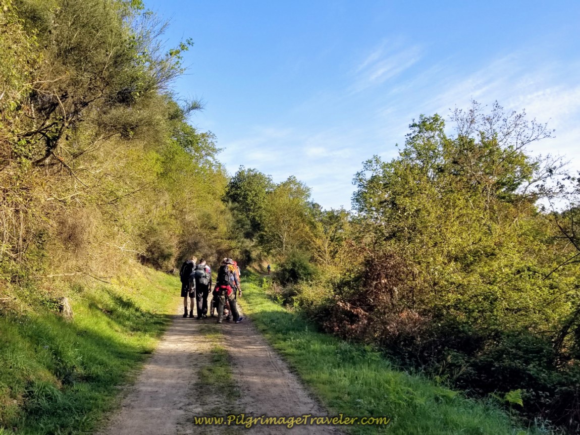 Camino Team Walking on Rural Lane on day nineteen on the Central Route of the Portuguese Camino Camino Team Walking on Rural Lane on day nineteen on the Central Route of the Portuguese Camino