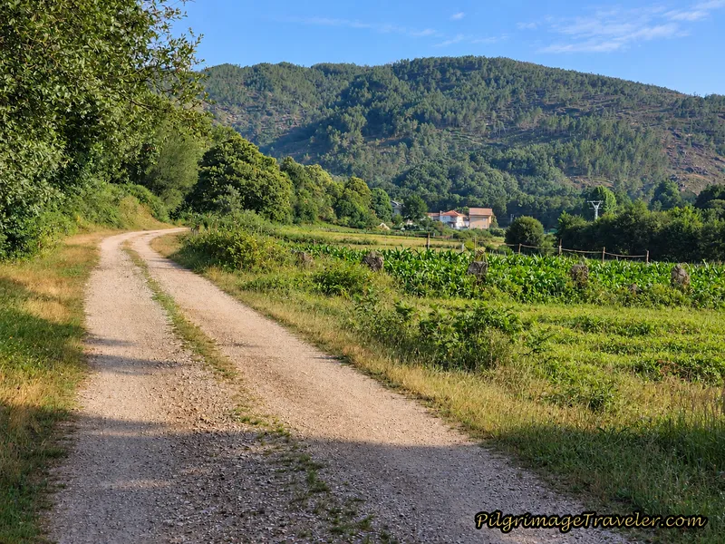 Tamicelas Ahead, Camino Sanabrés, A Laza to Vilar de Barrio