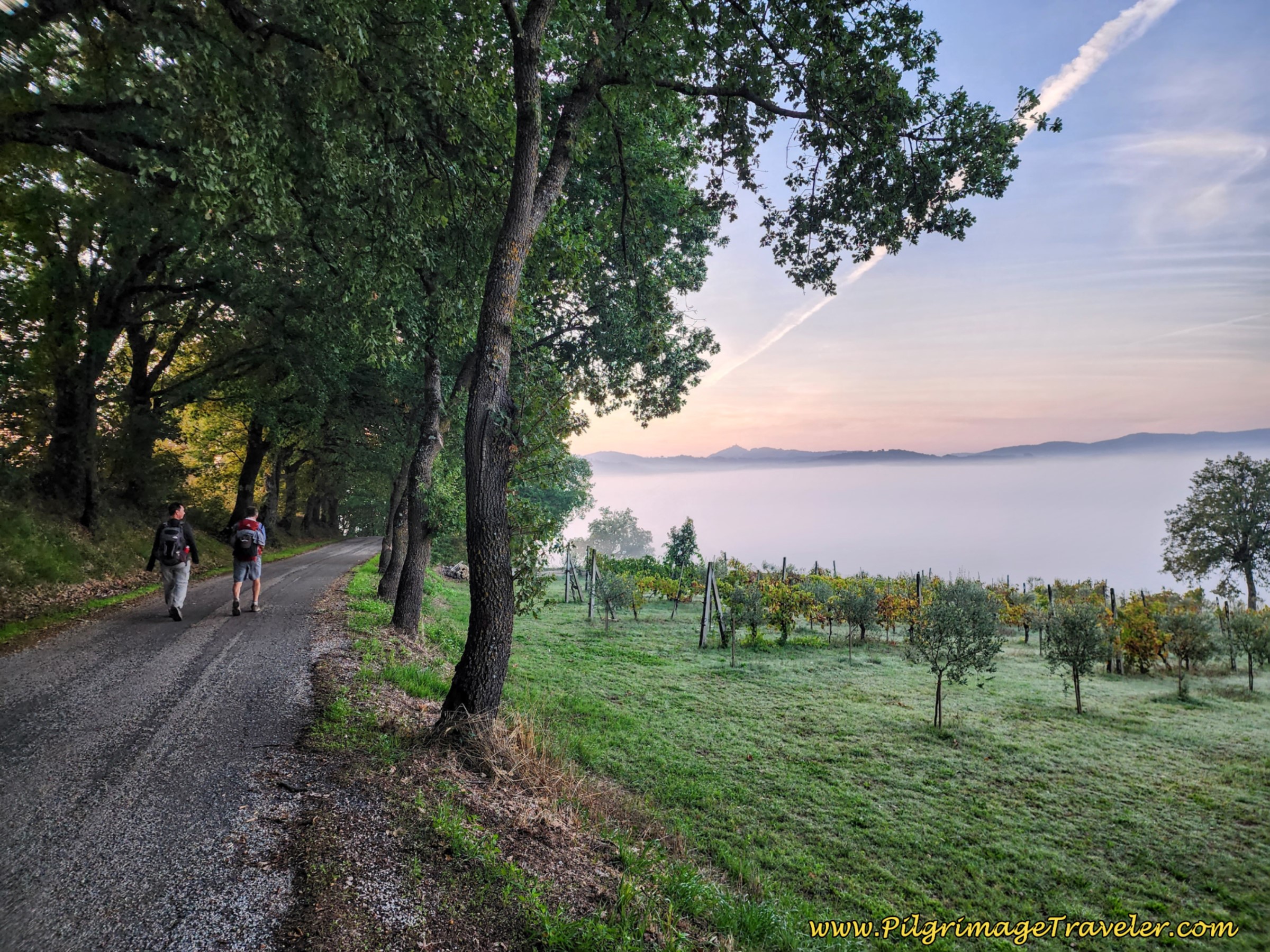 Onward on the Quiet, Paved Road