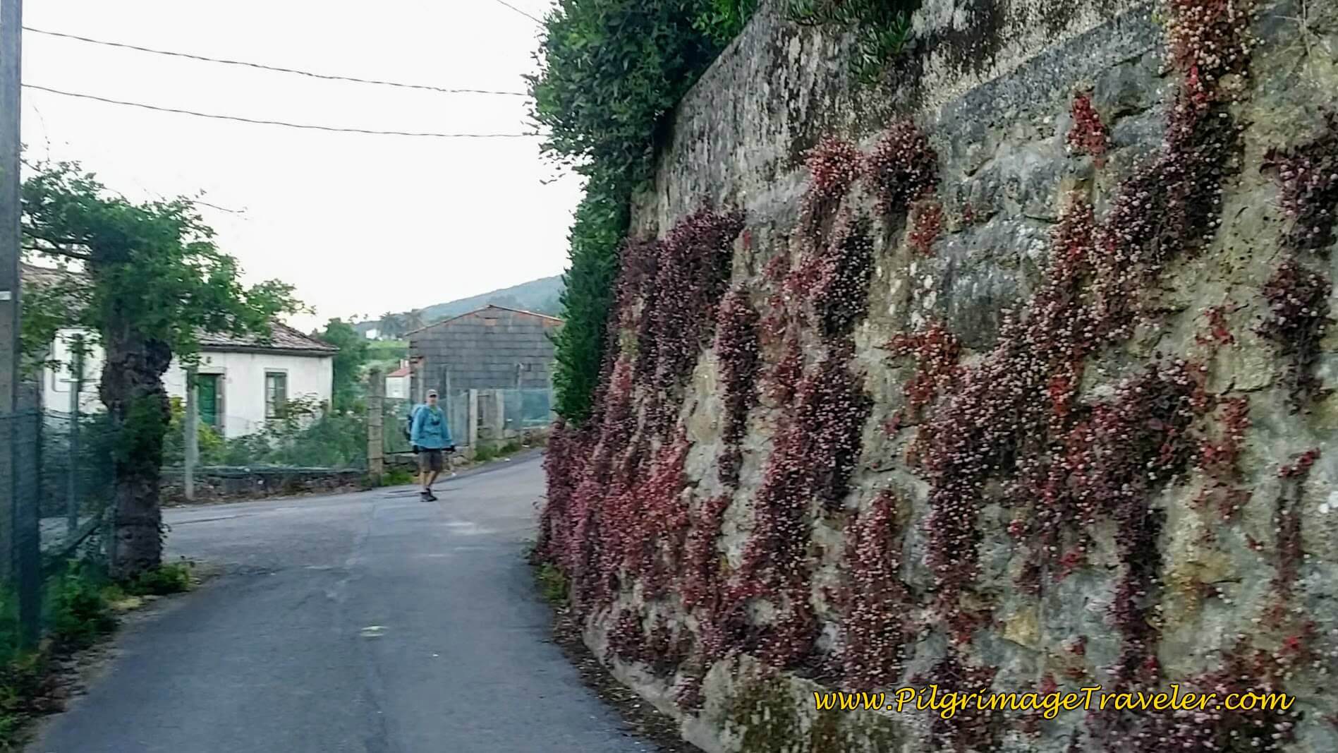 Walk Round This High Wall on Day Twenty-Four, Camino Portugués