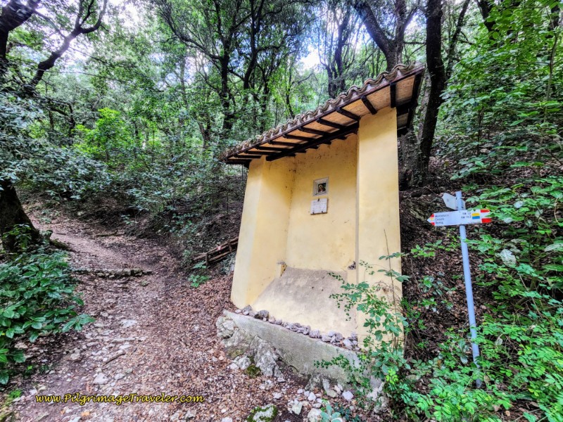 Way of St. Francis: Day Fifteen, Spoleto to Macenano - Turn Left at Second Shrine