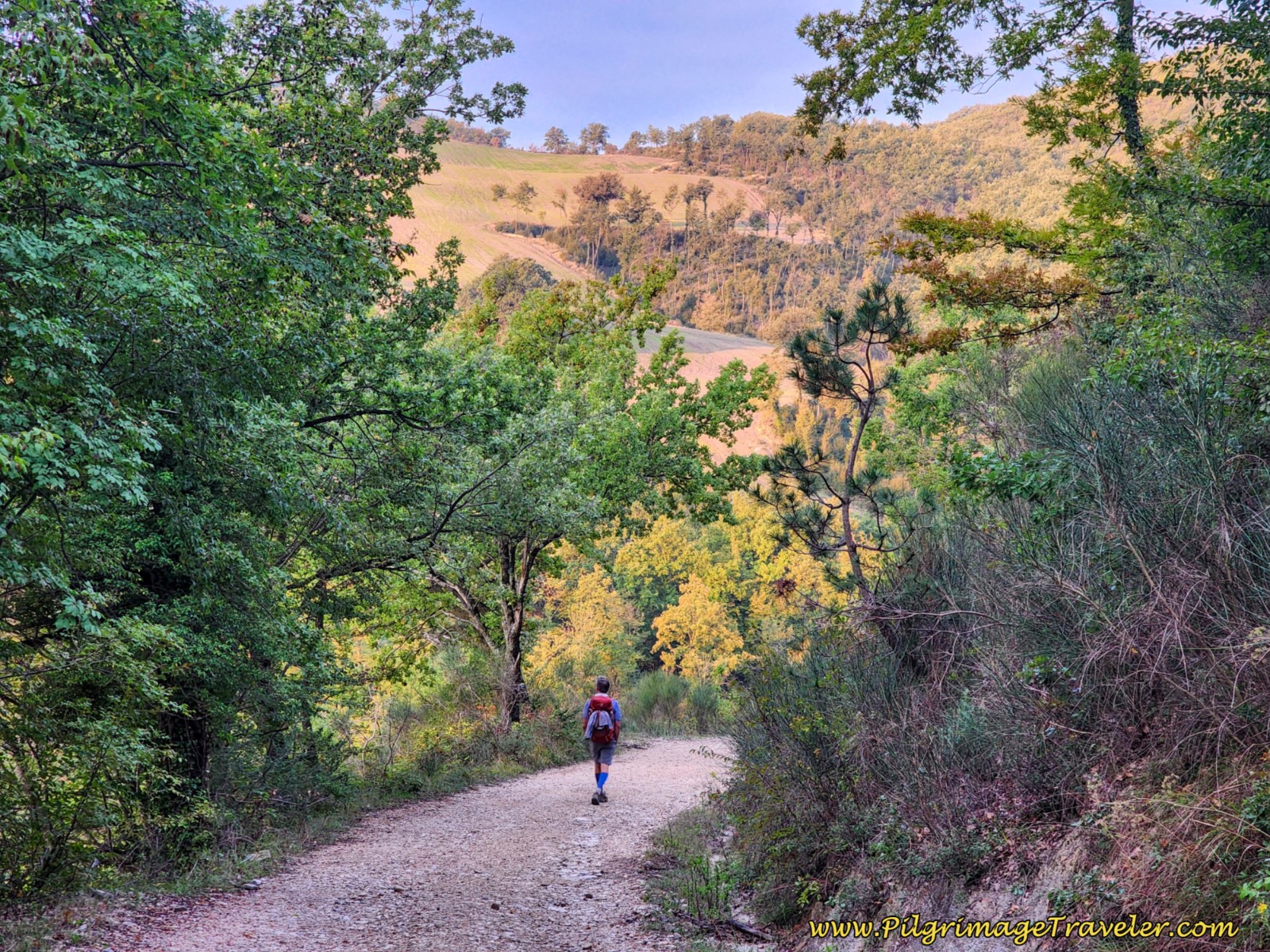 The Sun Lights up the Field Above
