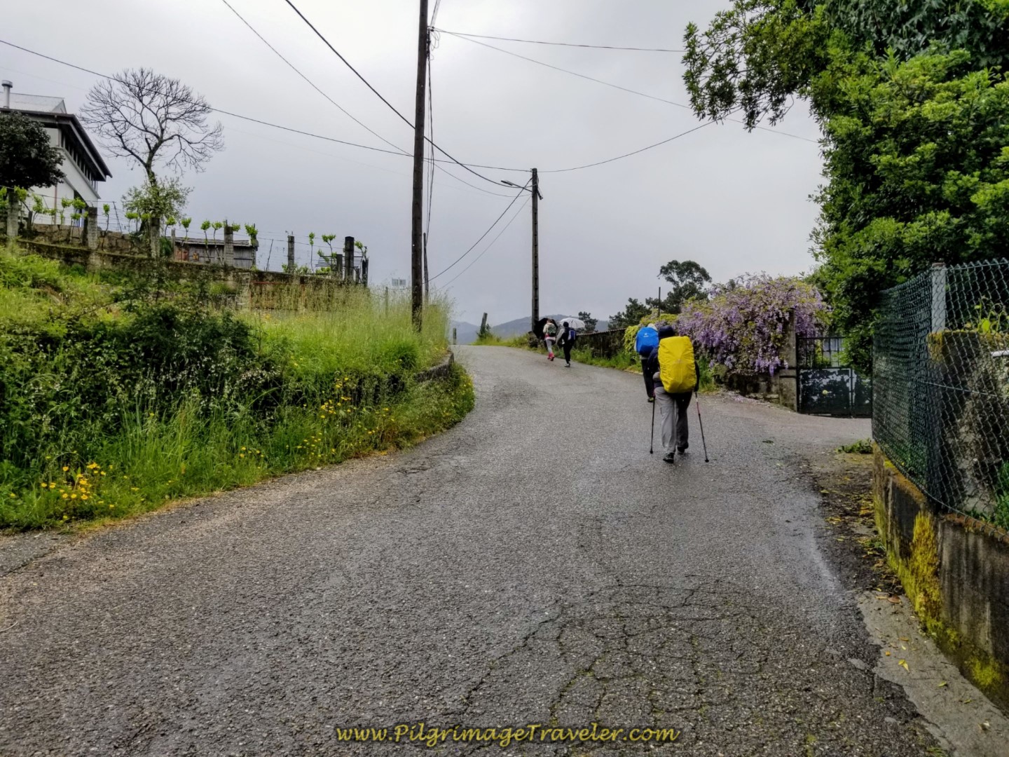Small hill climb on day twenty-one of the central route of the Portuguese Camino