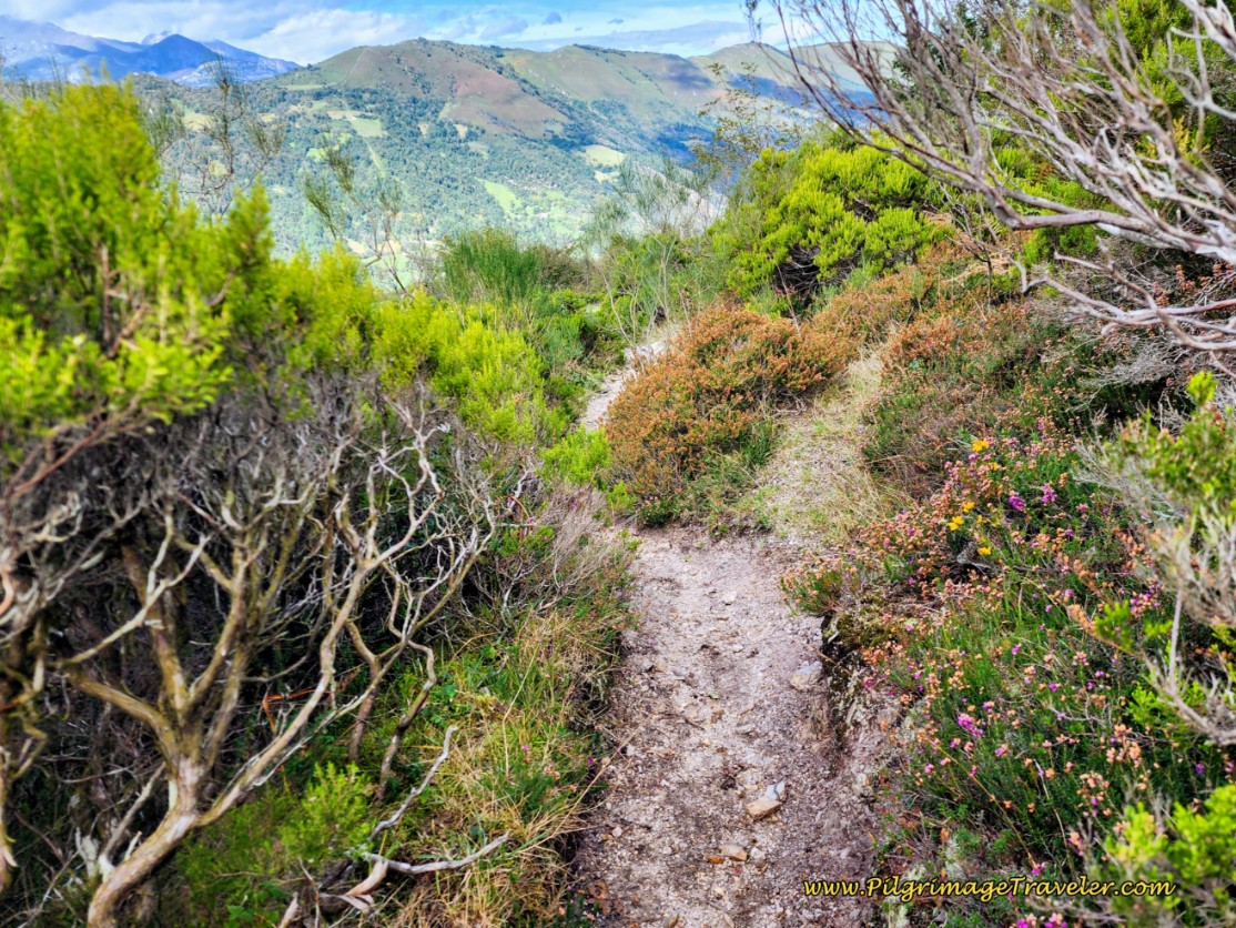 The Trail Steepens on the Way to Pajares