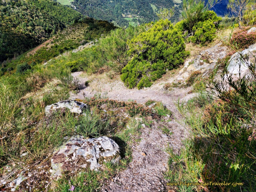 The Trail Gets Rougher and Looser