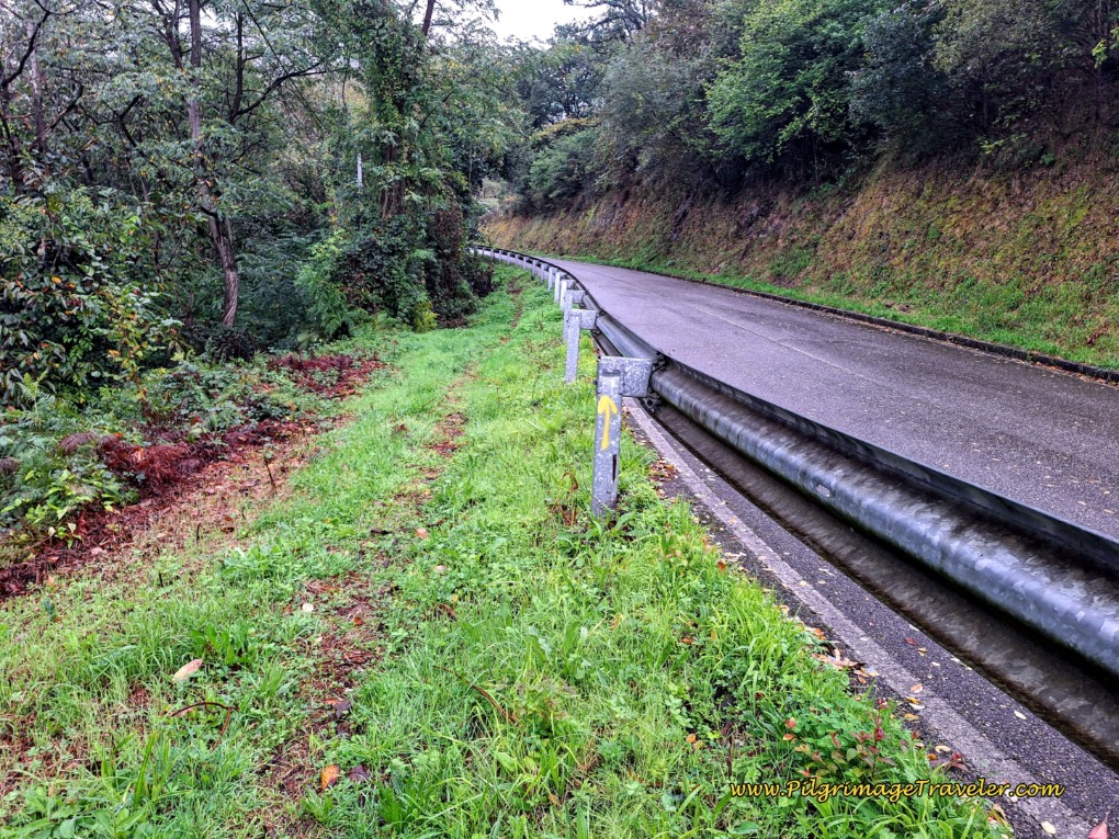 Walk Left of Guardrail Along LN-1 Walk Left of Guardrail Along LN-1
