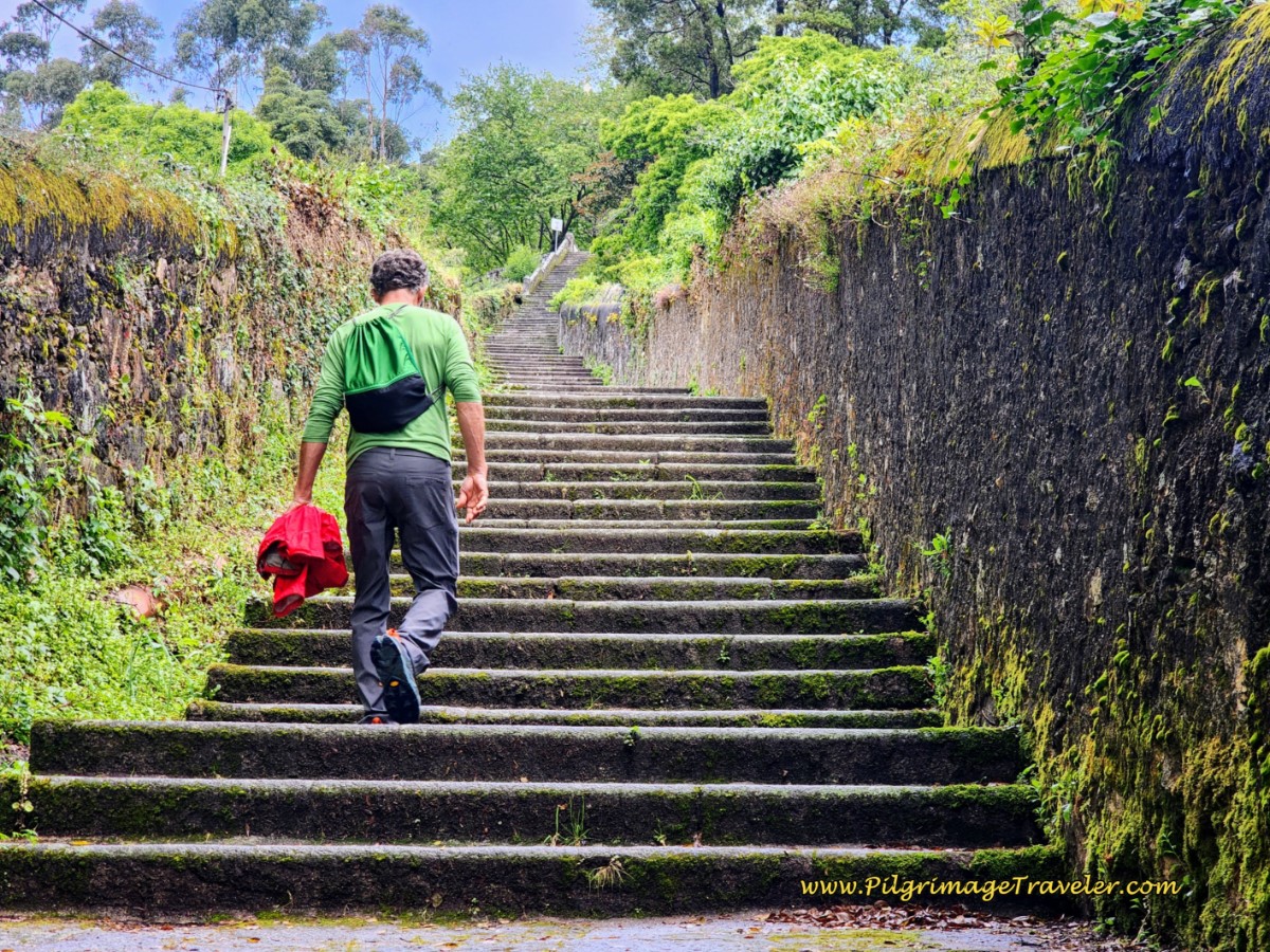 Escadório da Confraria de Santa Luzia
