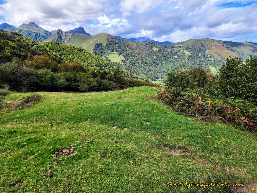 Leave Meadow, Turn Right at Yellow Arrow