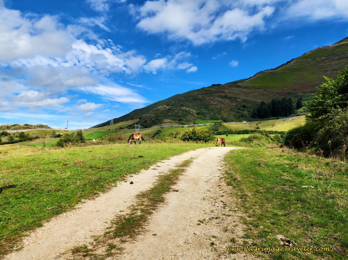 Join the AS PR-93 Dirt Road