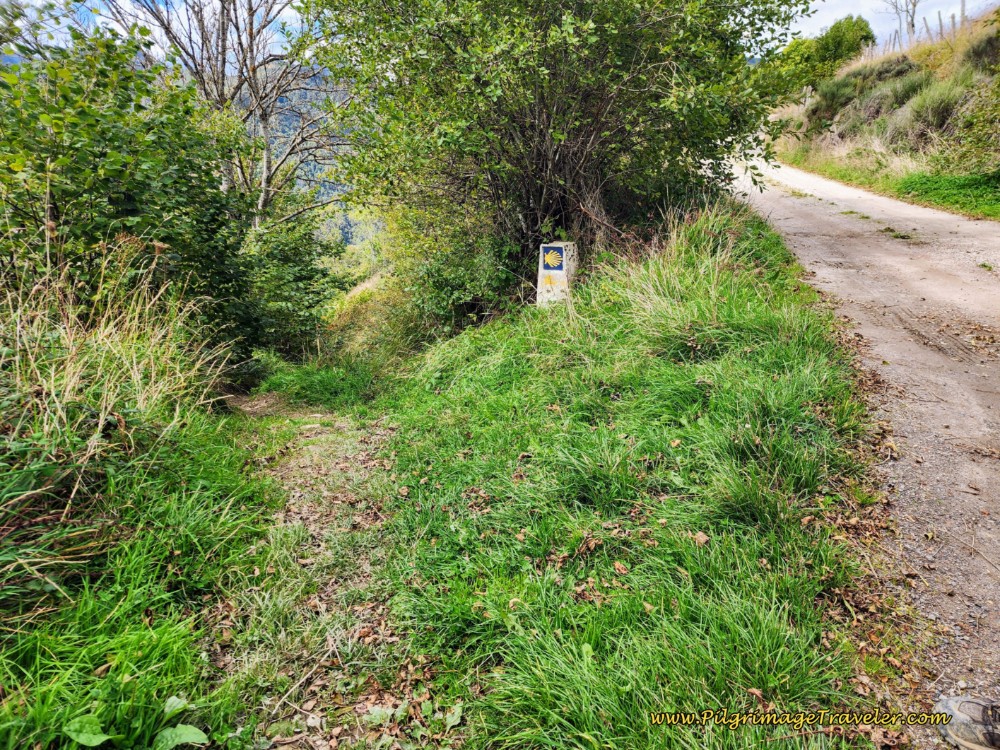 Left Turn Onto Path Before the Highway