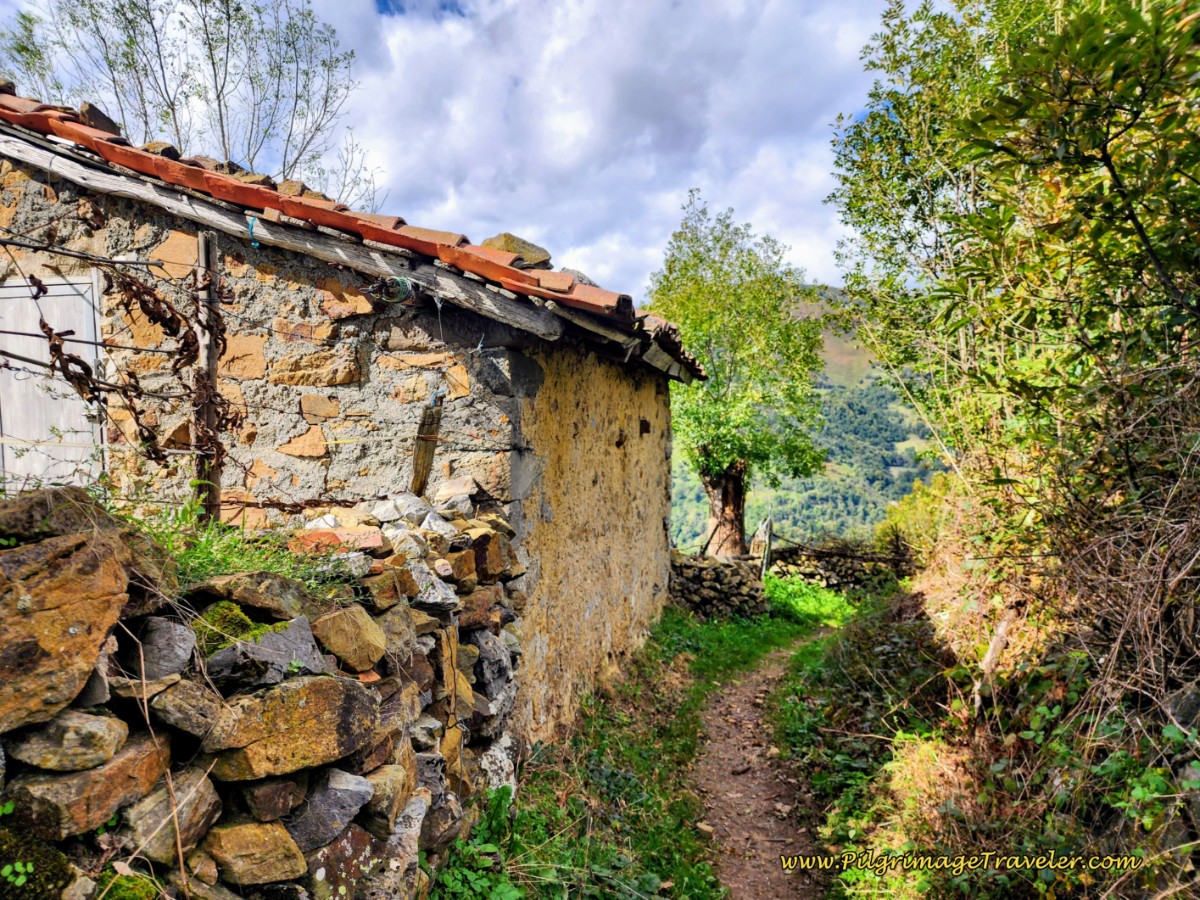 Wind Through the Countryside on the Path