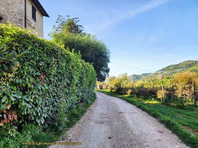 Way of St. Francis: Day Sixteen, Macenano to Piediluco - Agriturismo Imelograni, Along the Via delle Macchie