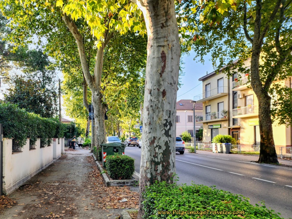 Way of St. Francis: Day Twelve, Spello to Trevi, Along the Viale Firenze, Foligno