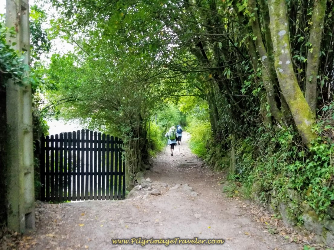 The Way Becomes a Path After Bridge
