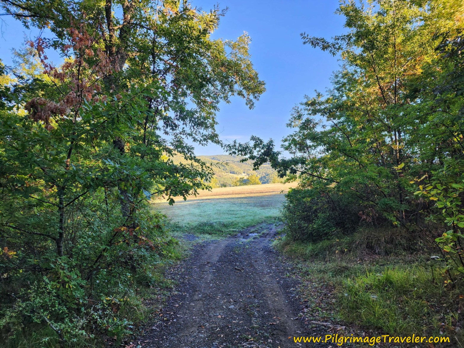 Come to Open Field on Your Left