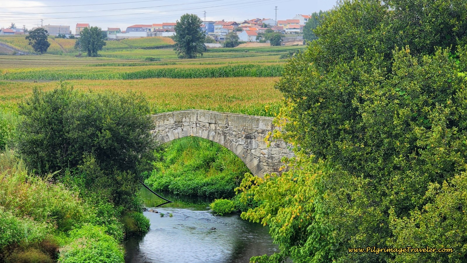 Ponte Medieval de D. Goimil