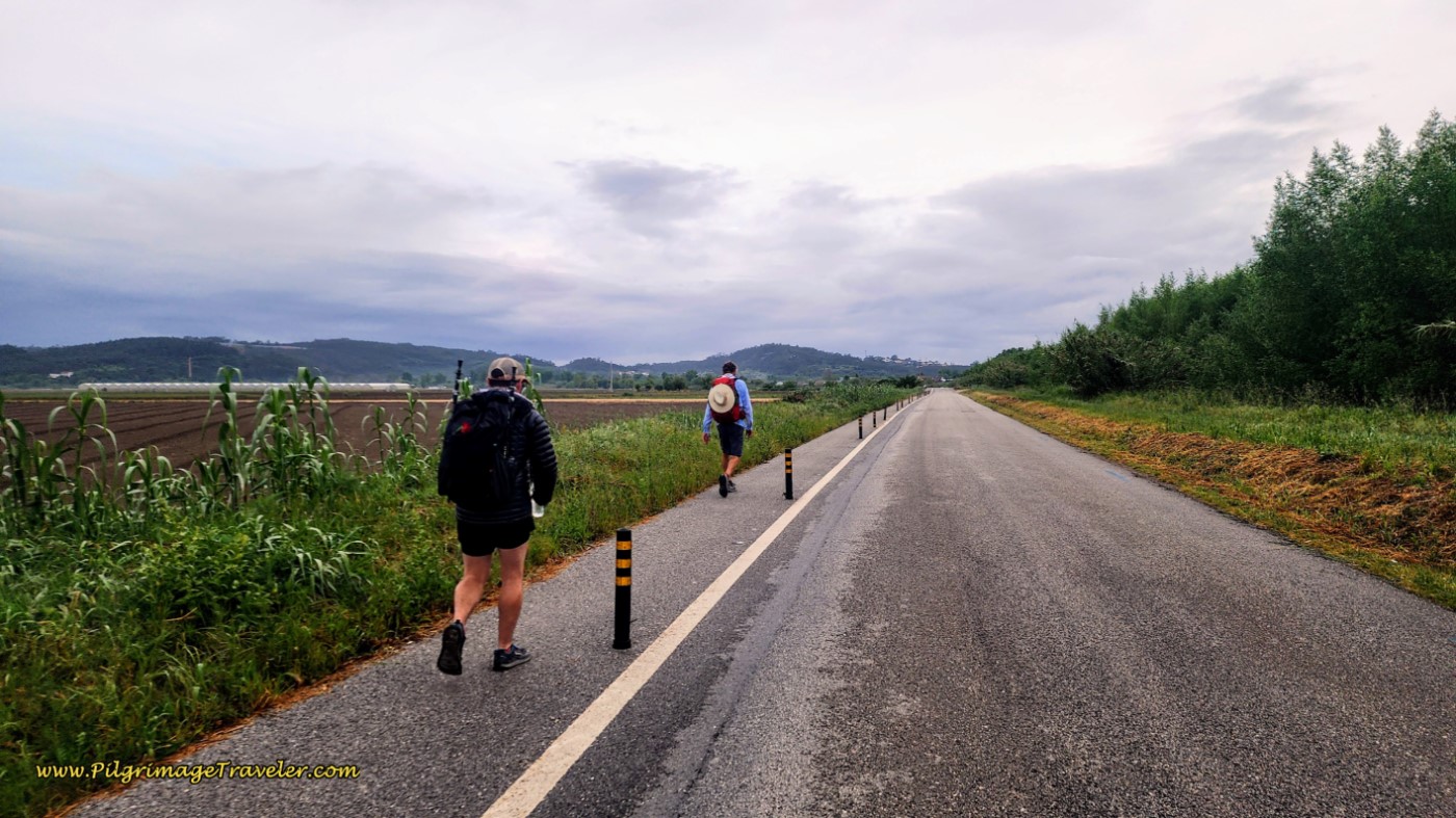 Continue on the Rua Parcelar do Campo