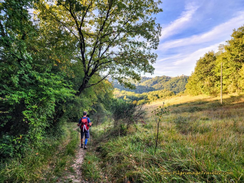 Way of St. Francis: Day Twenty, Poggio San Lorenzo to Ponticelli - The Descent from the Ridge