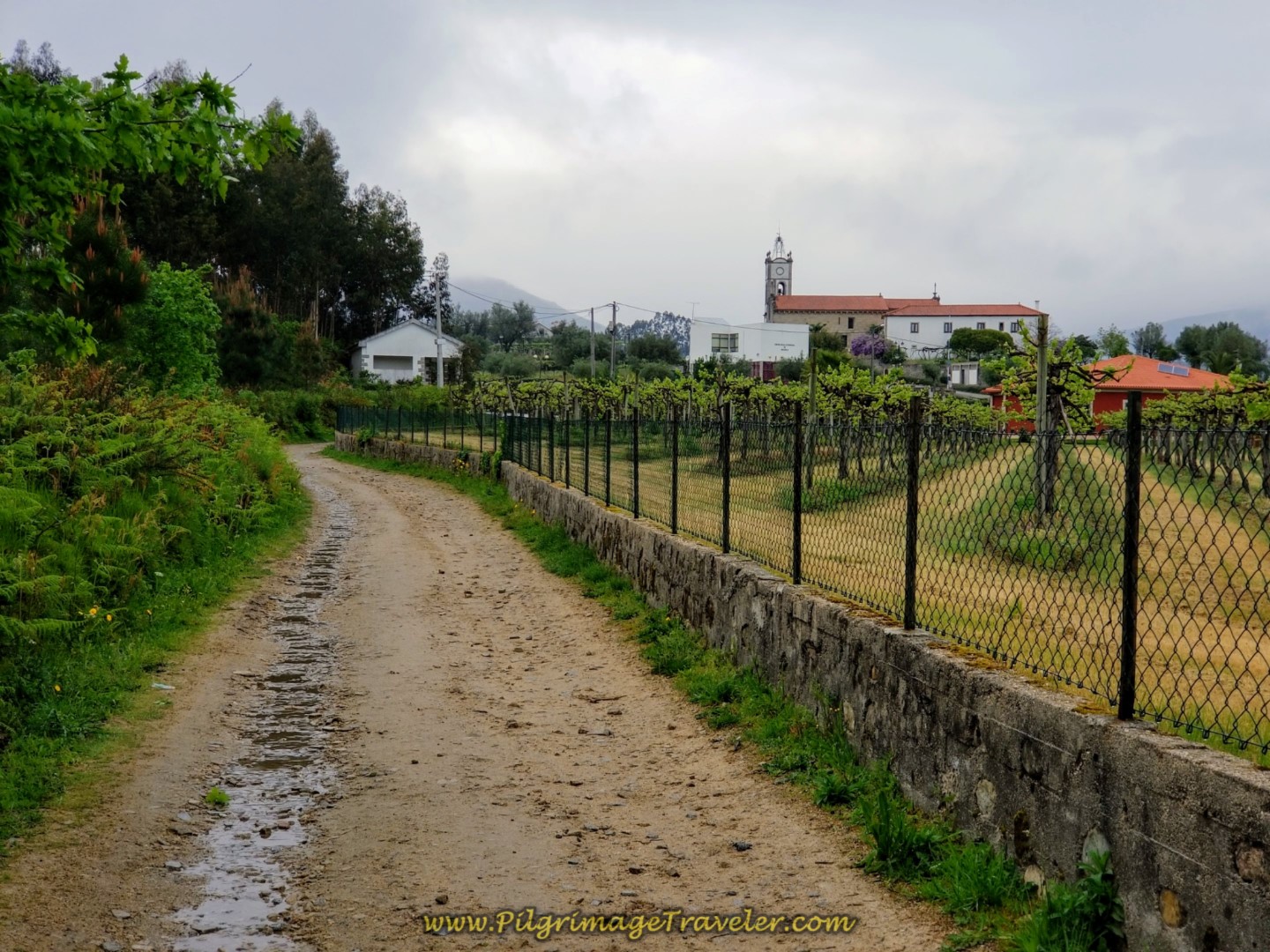 Entering Arcozelo, Day Eighteen, Central Route, Portuguese Camino