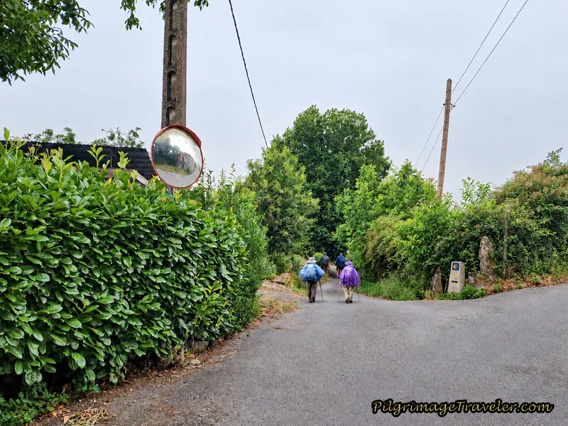 Left Turn In Vilar de Gomareite