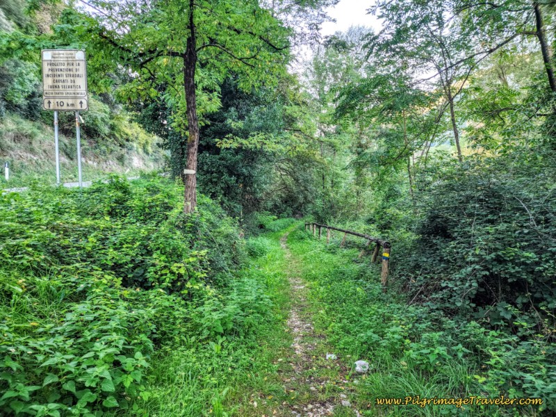 Way of St. Francis: Day Nineteen, Rieti to Poggio San Lorenzo - Drop Down Into Path Through Fields