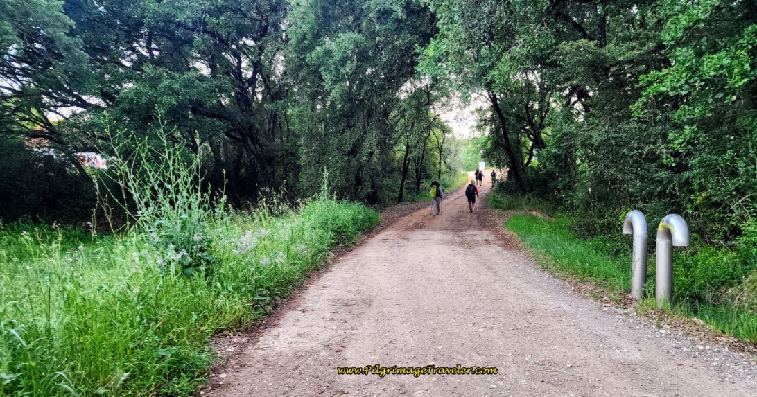 Lane Towards Ponte de Peniche