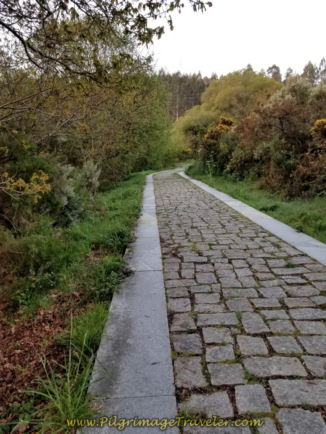 Nice Paved Road After Footbridge