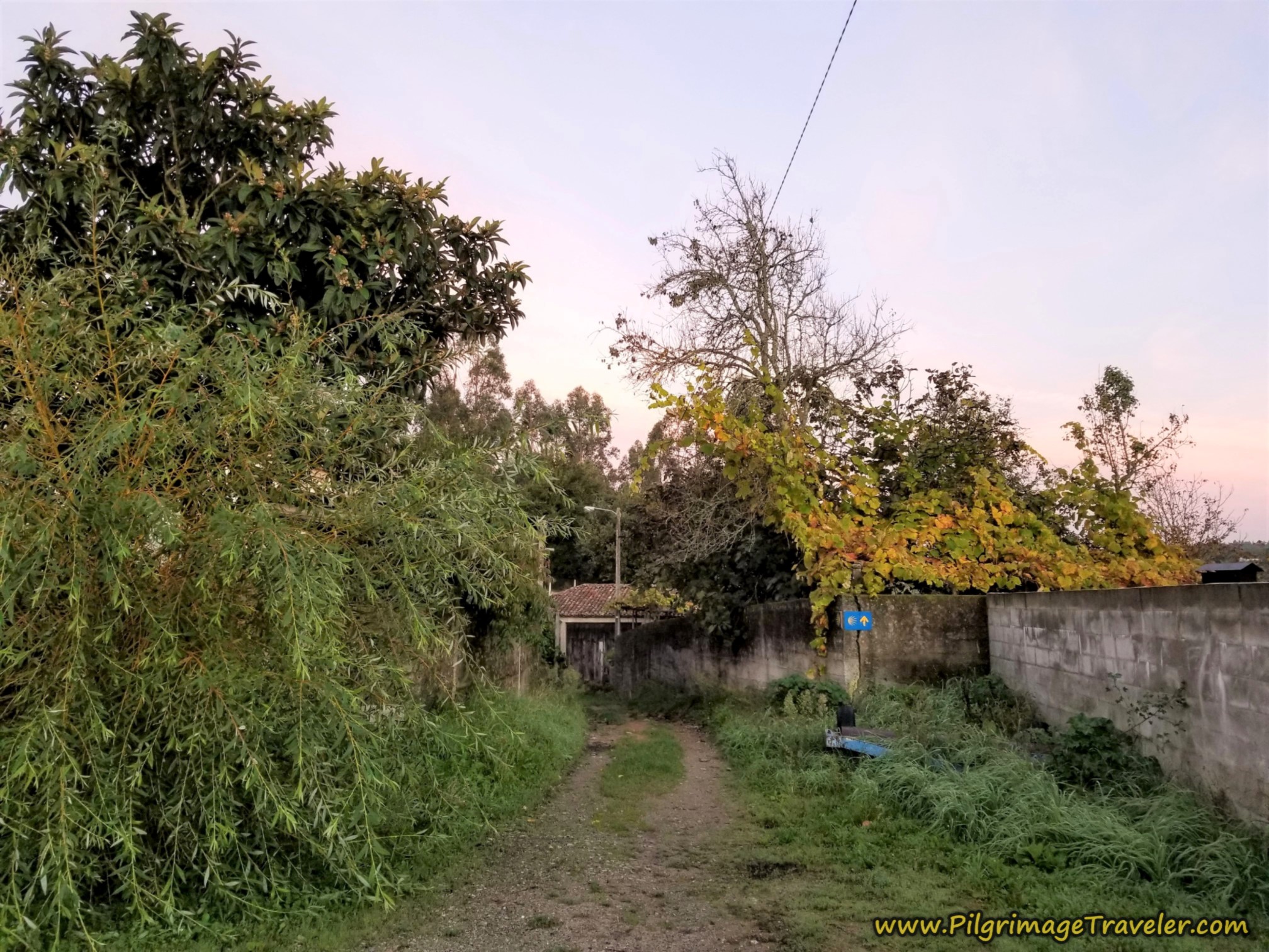 Road Turns to Back Lane
