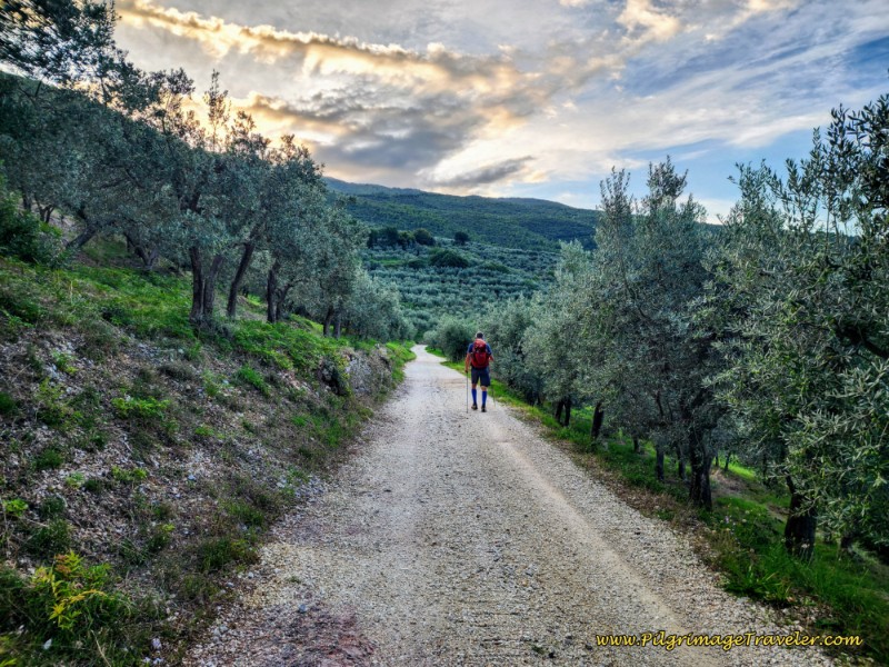 Shelf Road Leaving Località Alvanischio Way of St. Francis: Day Thirteen, Trevi to Poreta - Shelf Road Towards the Eremo Francescano delle Allodole