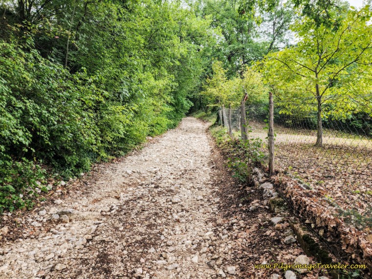 Way of St. Francis: Day Fourteen, Poreta to Spoleto - Steep, Loose, Rocky Road Towards Bazzano Superiore
