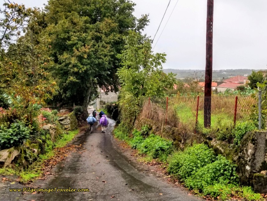 Straight Onward In Vilar de Gomareite