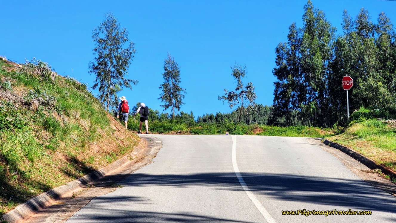 Turn Left at the T-Intersection
